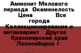 Аммонит Мелового периода. Окаменелость. › Цена ­ 2 800 - Все города Коллекционирование и антиквариат » Другое   . Красноярский край,Лесосибирск г.